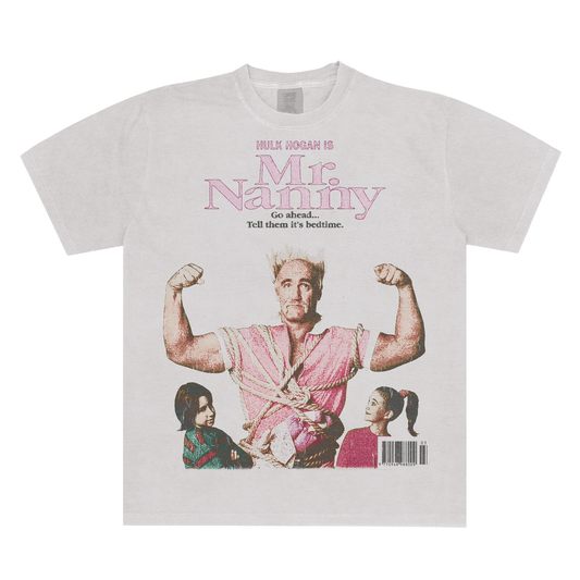 Mr Nanny